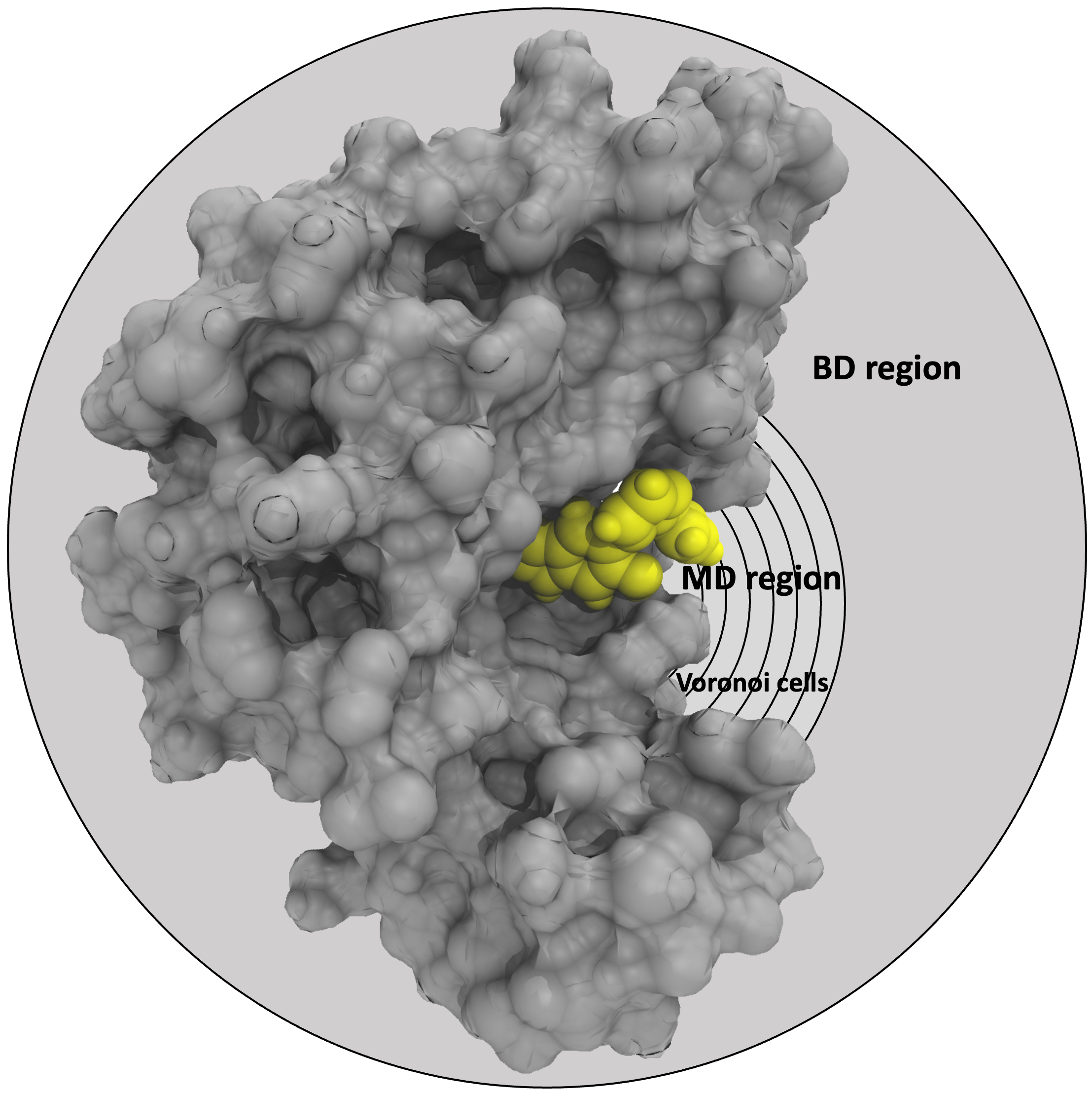 Graphical abstract: QMrebind