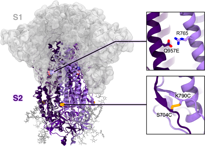 Graphical abstract