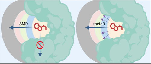 Graphical abstract